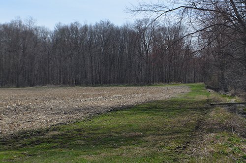 Property photo 134 - REAL ESTATE & PERSONAL PROPERTY AUCTION, 140 Acres offered in 8 Tracts or Combinations in Steuben County